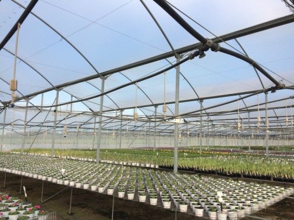 Greenhouses heating for less